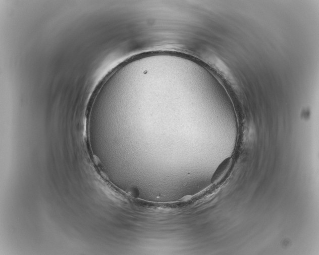 X0000093561324200710291011