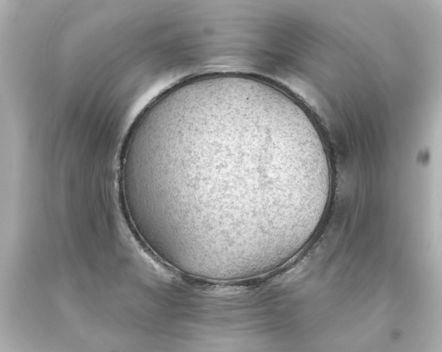 X0000093561325200710291011