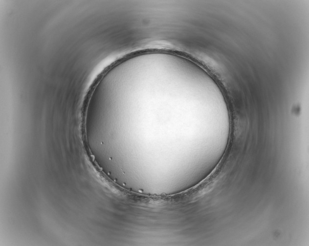 X0000093561326200710291011