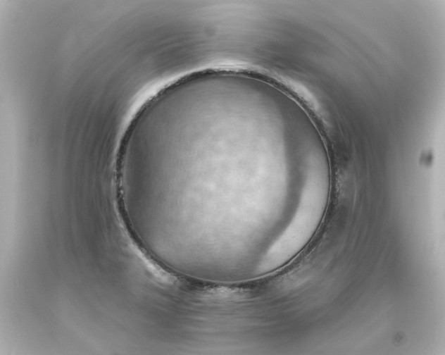 X0000093561327200710291011