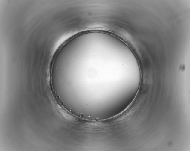 X0000093561328200710291011