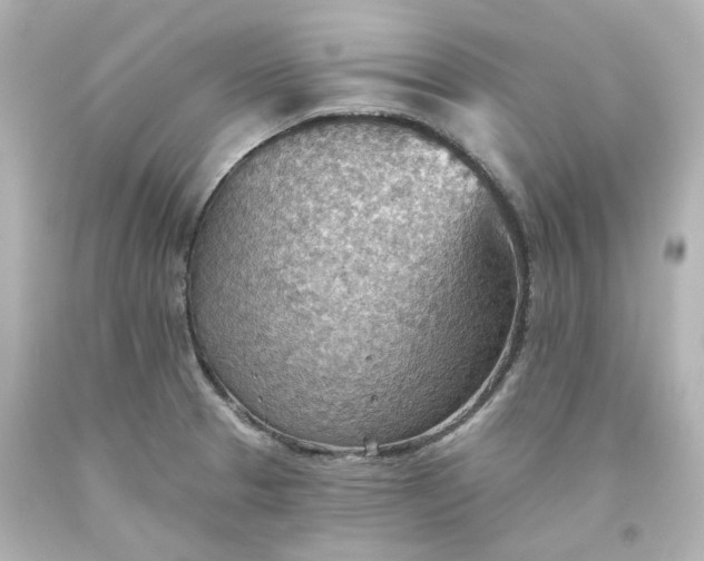 X0000093561329200710291011