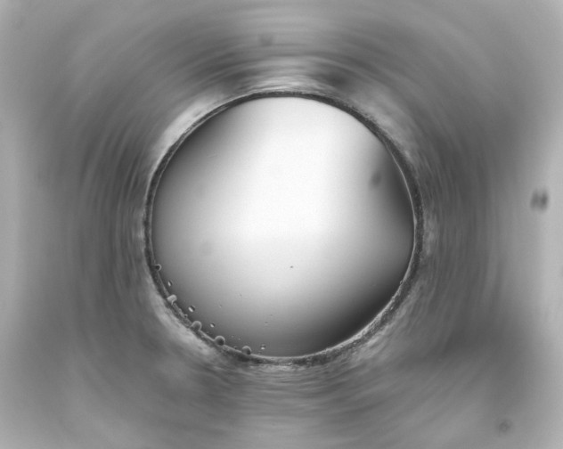 X0000093561330200710291011