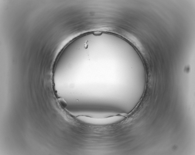 X0000093561332200710291011