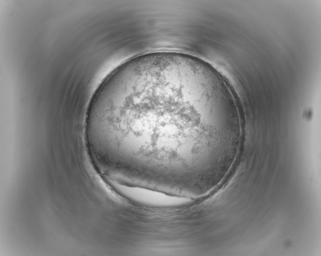 X0000093561333200710291011