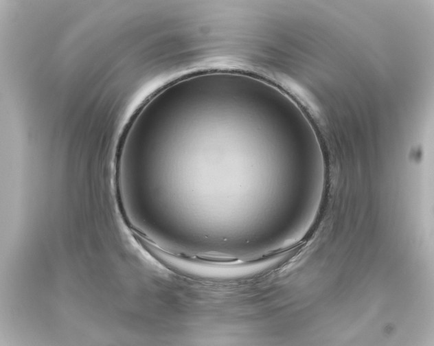 X0000093561334200710291011