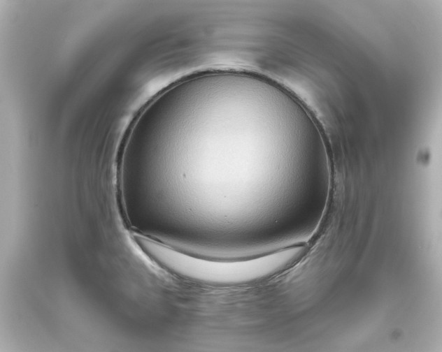 X0000093561335200710291011