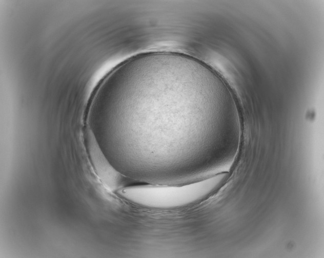 X0000093561336200710291011