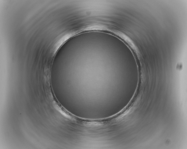 X0000093561337200710291011