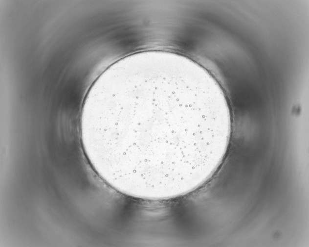 X0000093561338200710291011