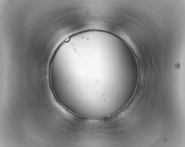 X0000093561339200710291011