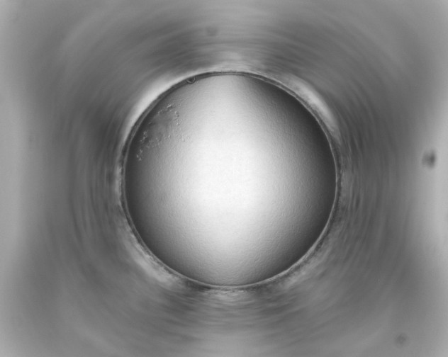 X0000093561340200710291011