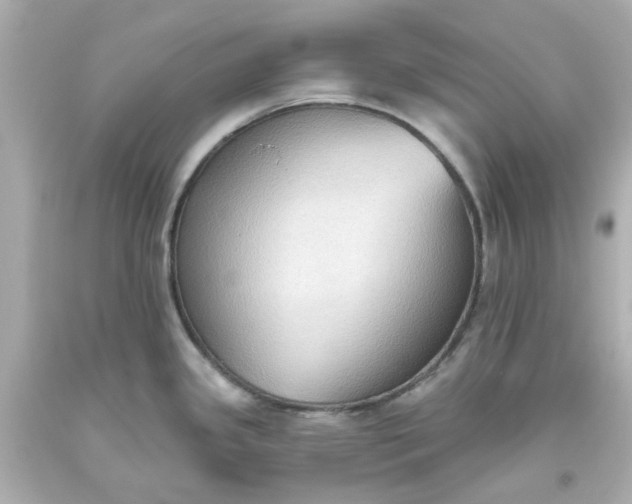 X0000093561341200710291011