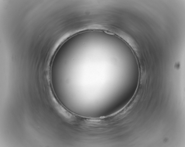 X0000093561342200710291011