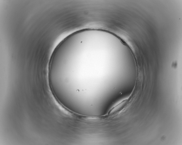 X0000093561343200710291011