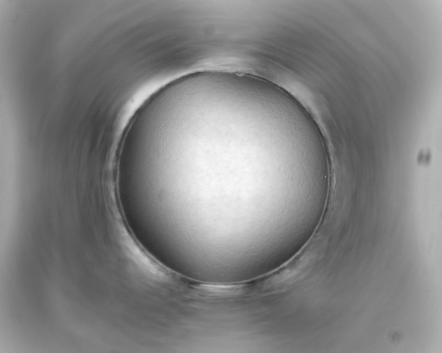 X0000093561344200710291011