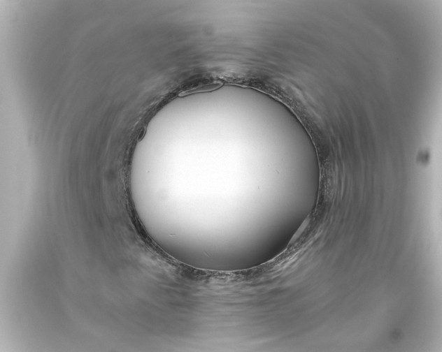 X0000093561345200710291010