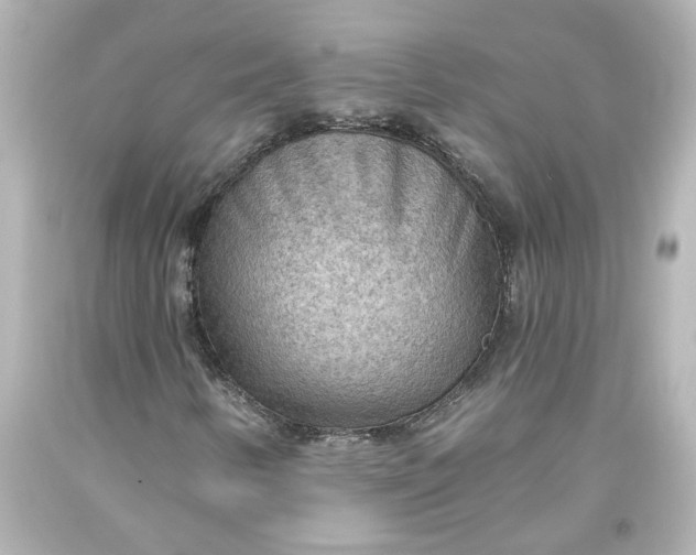 X0000093561346200710291010