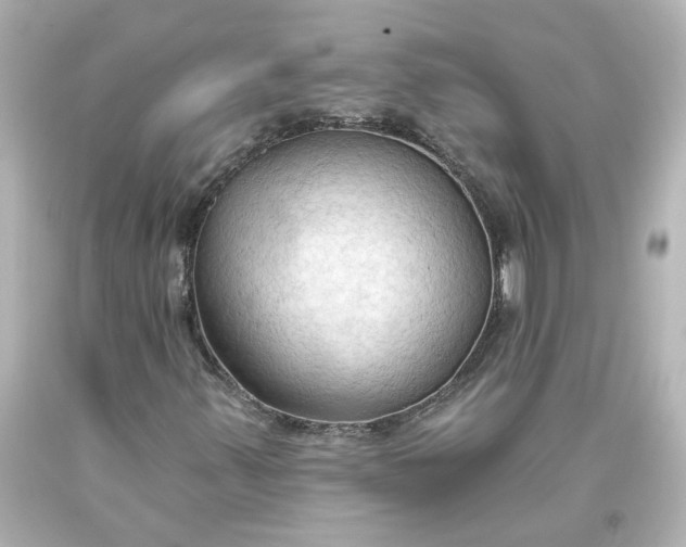 X0000093561347200710291010