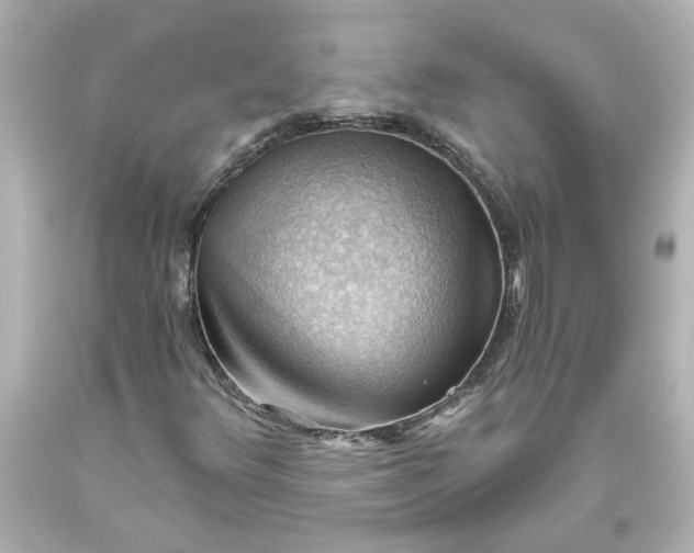 X0000093561348200710291010