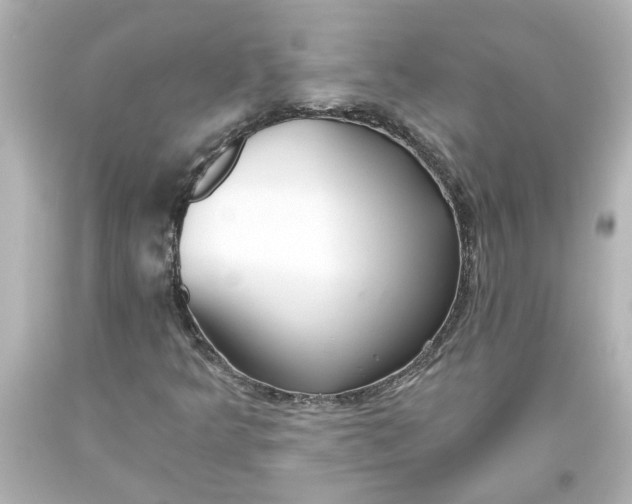 X0000093561349200710291010