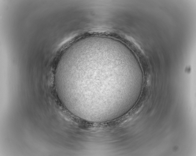 X0000093561350200710291010