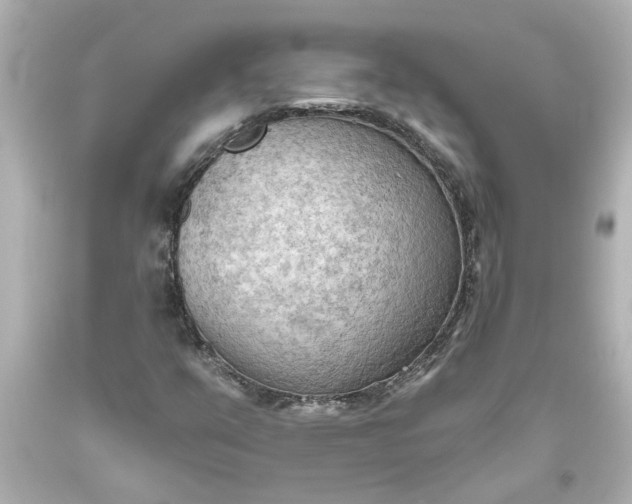 X0000093561351200710291010