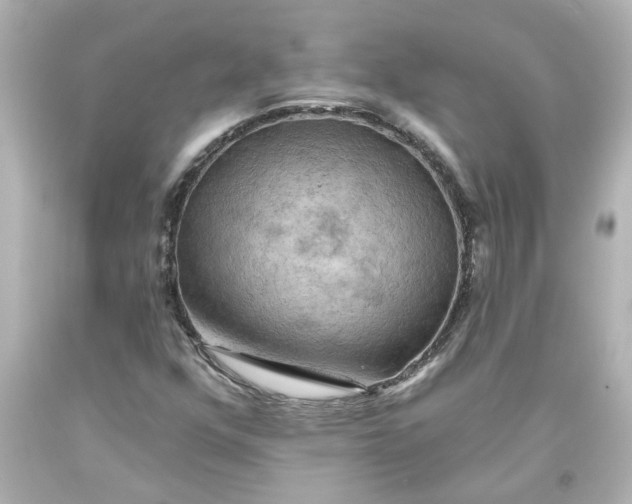 X0000093561352200710291010