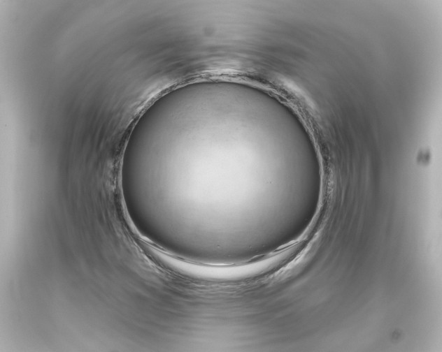 X0000093561353200710291010