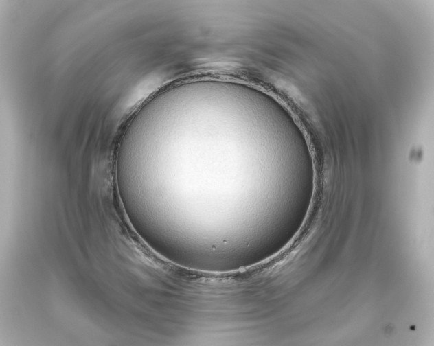 X0000093561354200710291010