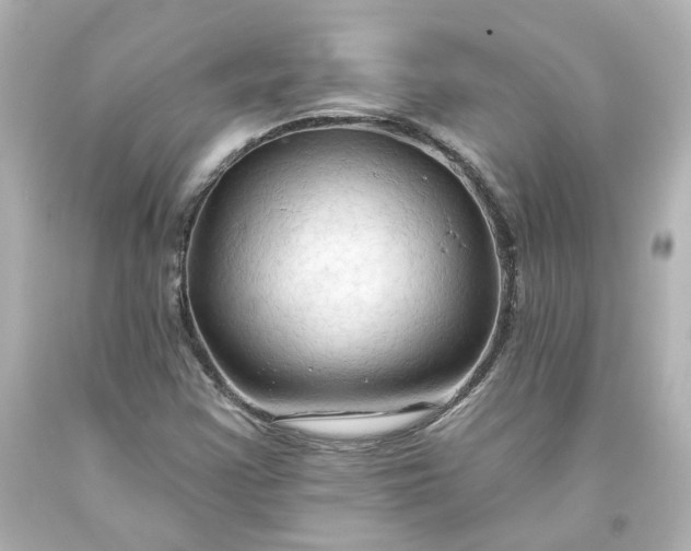 X0000093561355200710291010