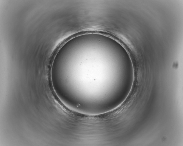 X0000093561356200710291010