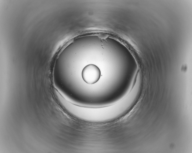 X0000093561357200710291010