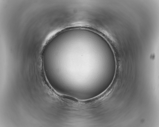 X0000093561358200710291010