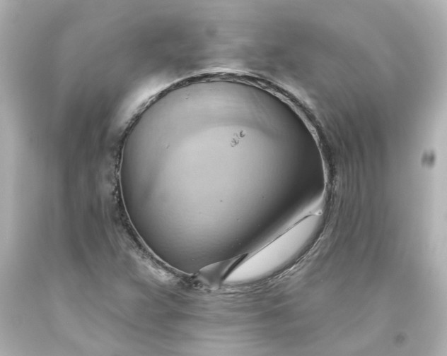 X0000093561359200710291010