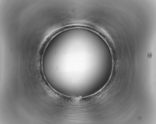 X0000093561360200710291010