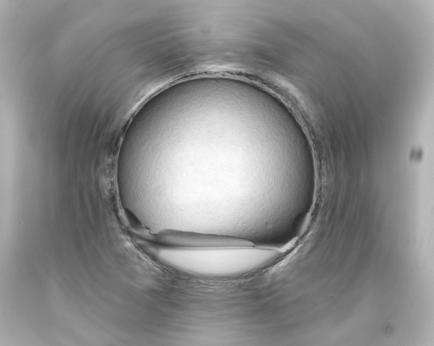 X0000093561361200710291010