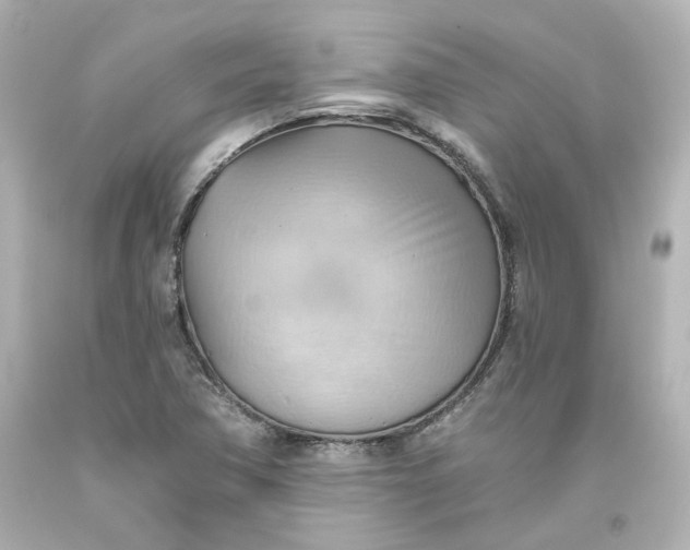 X0000093561362200710291010