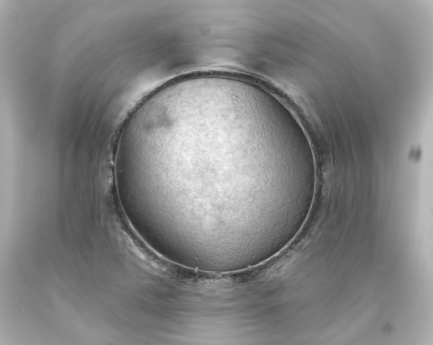 X0000093561363200710291010