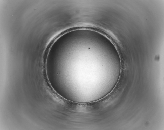 X0000093561364200710291010