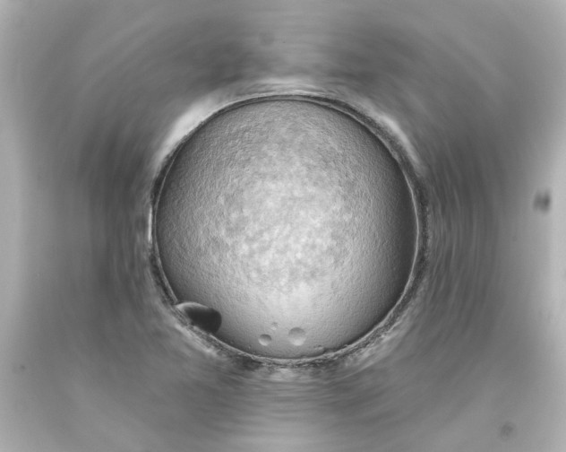 X0000093561365200710291010