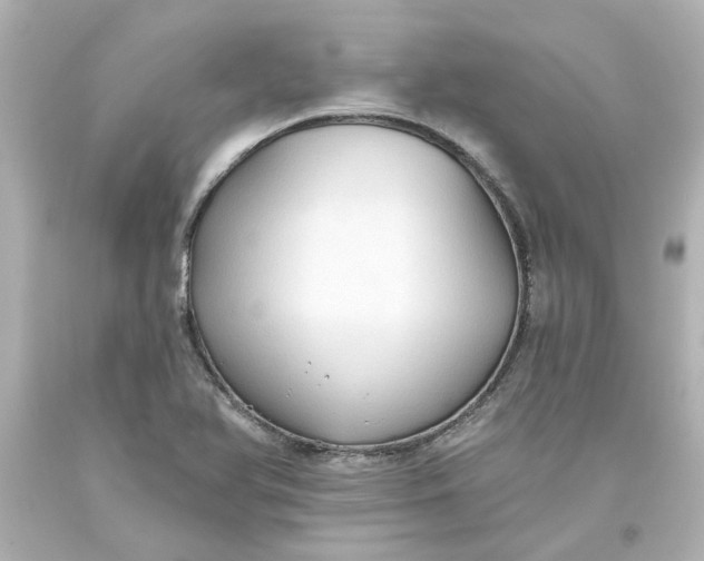 X0000093561366200710291010