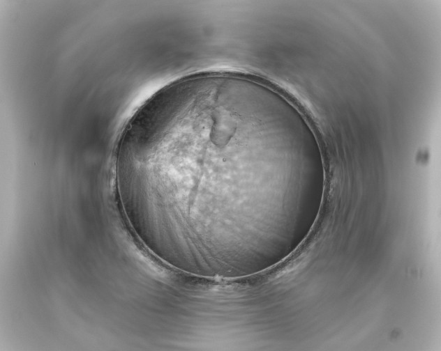 X0000093561367200710291010