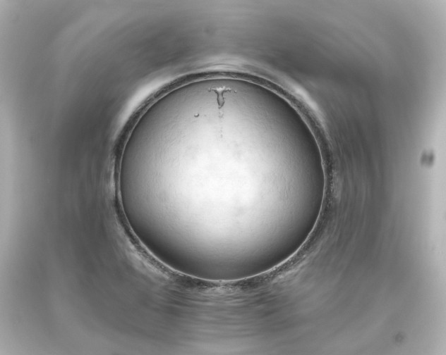 X0000093561368200710291010