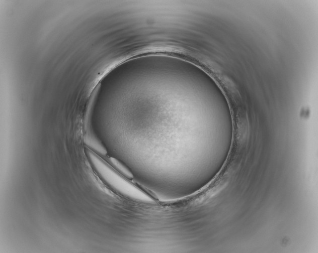 X0000093561369200710291010