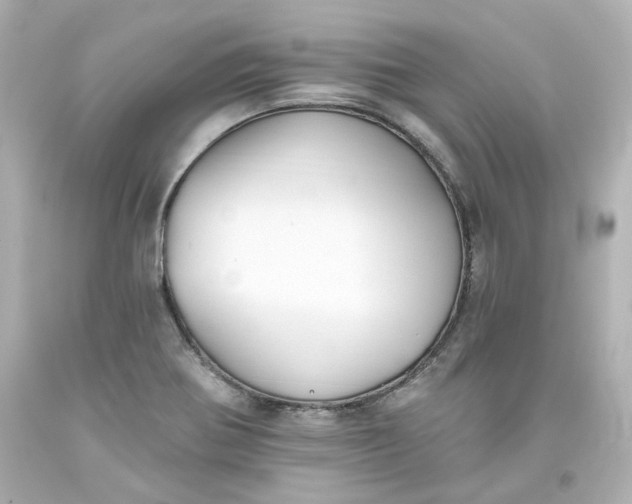 X0000093561370200710291010