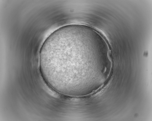 X0000093561371200710291010