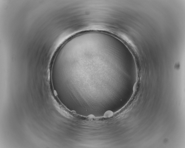 X0000093561372200710291010