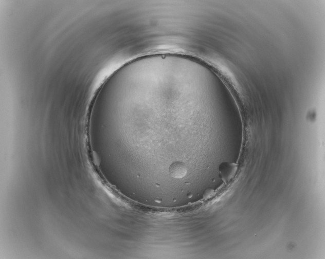 X0000093561373200710291010