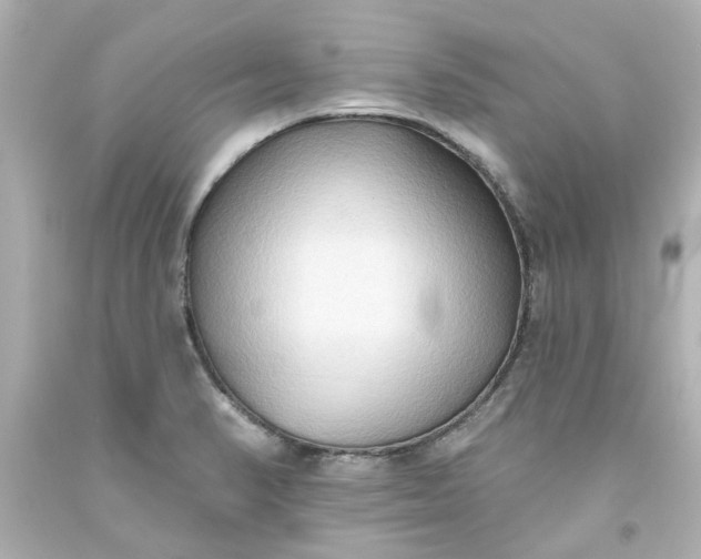 X0000093561374200710291010